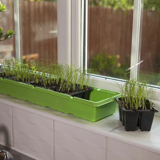 Windowsill Propagator Kit, Indoor Greenhouse, Set of 3, For 90 Plants, Reusable Corbycart
