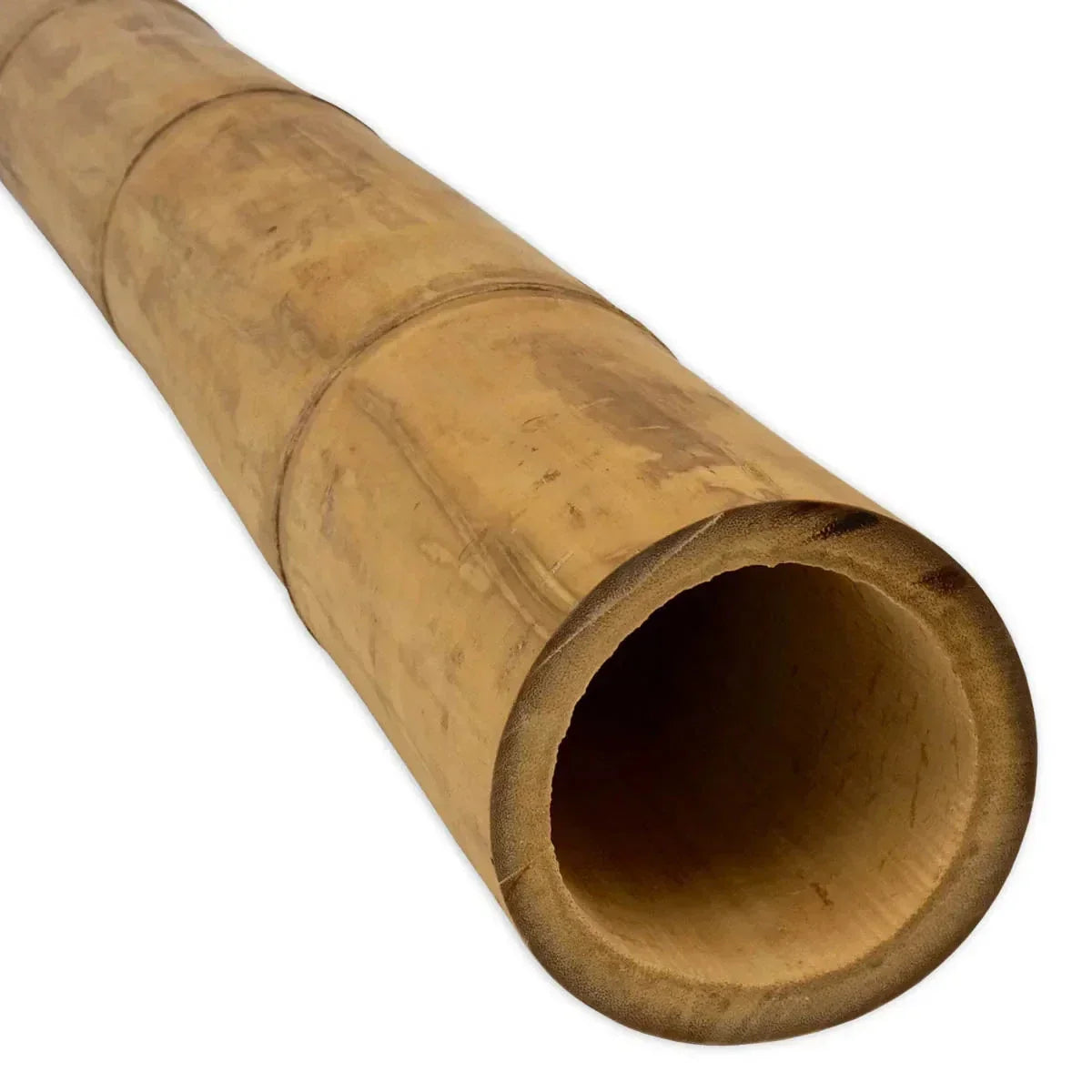 Guadua Natural Bamboo Pole 5-7cm Diameter Short Lengths Home Garden Decoration CorbyCart