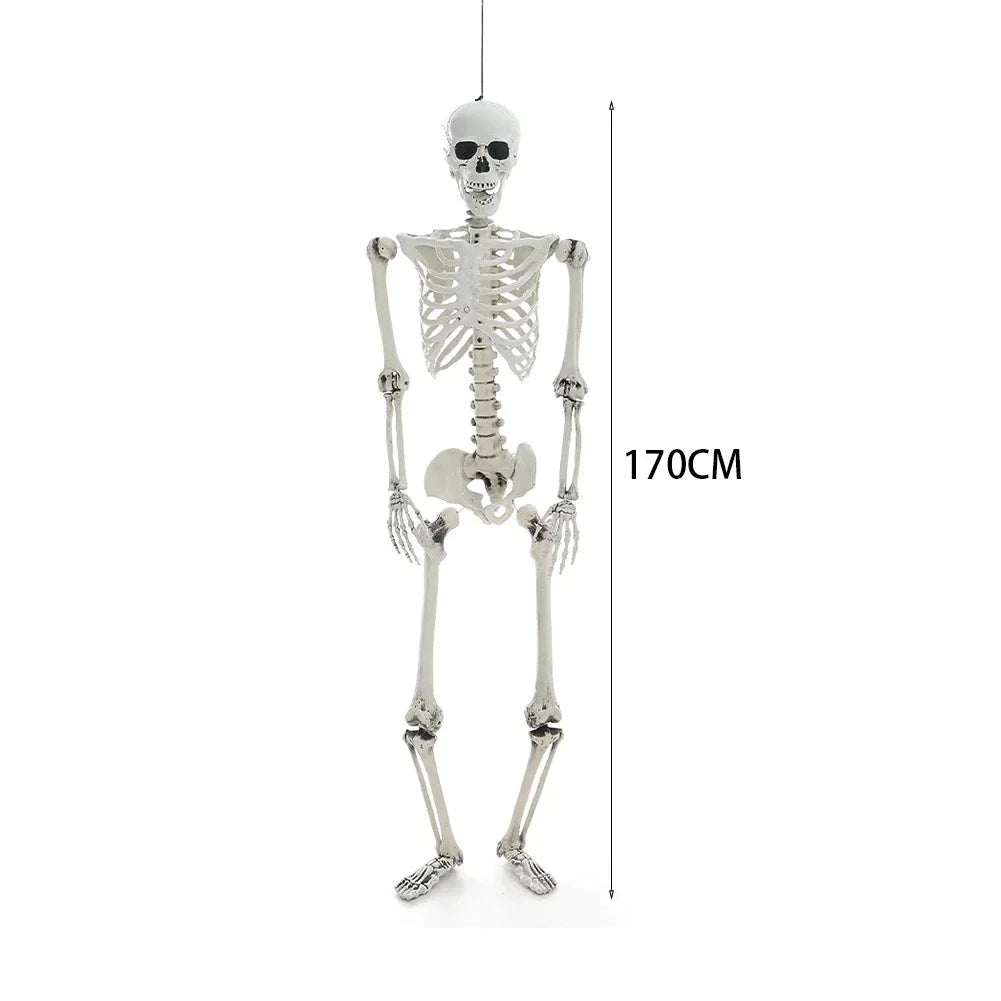170cm Full Life Size Halloween Hanging Human Skeleton Bones Posable Skull Party CorbyCart