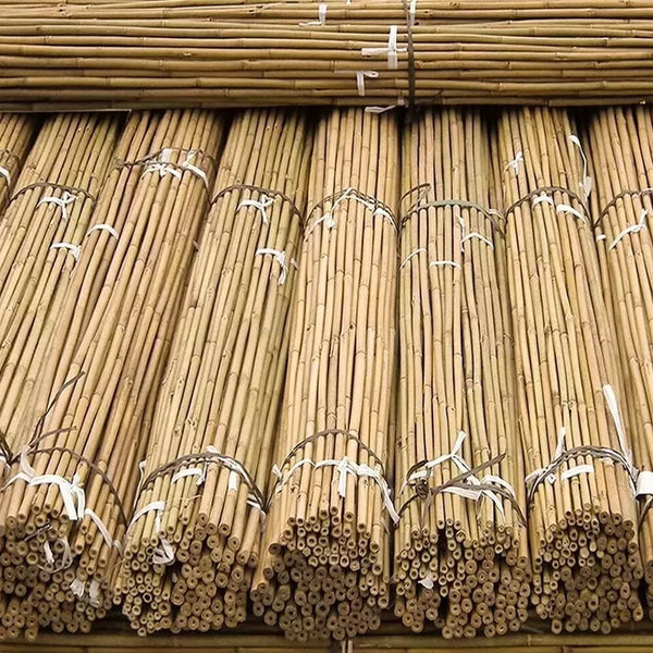 50 x 4ft Heavy Duty Bamboo Garden Canes Strong Thick Quality Plant Support Corbycart