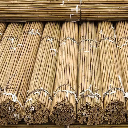 50 x 4ft Heavy Duty Bamboo Garden Canes Strong Thick Quality Plant Support Corbycart