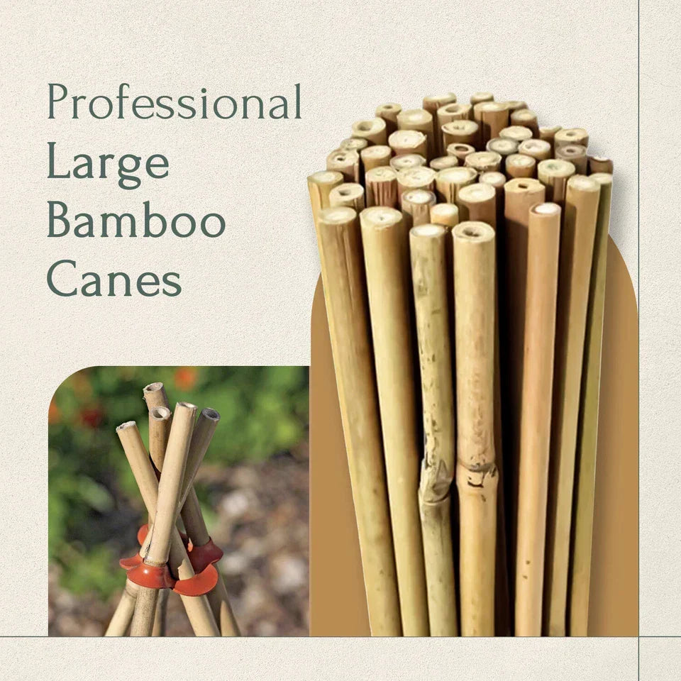 50 x 4ft Heavy Duty Bamboo Garden Canes Strong Thick Quality Plant Support Corbycart