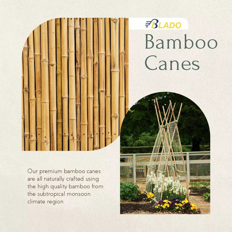 50 x 4ft Heavy Duty Bamboo Garden Canes Strong Thick Quality Plant Support Corbycart