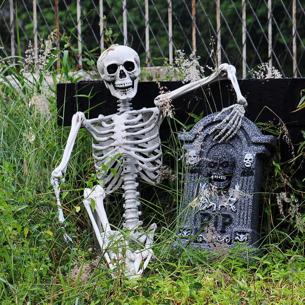 170cm Full Life Size Halloween Hanging Human Skeleton Bones Posable Skull Party CorbyCart