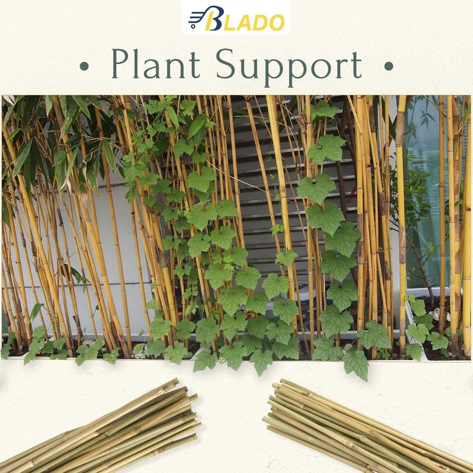 50 x 4ft Heavy Duty Bamboo Garden Canes Strong Thick Quality Plant Support Corbycart
