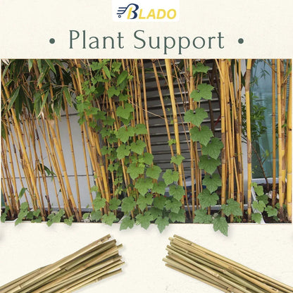 50 x 4ft Heavy Duty Bamboo Garden Canes Strong Thick Quality Plant Support Corbycart