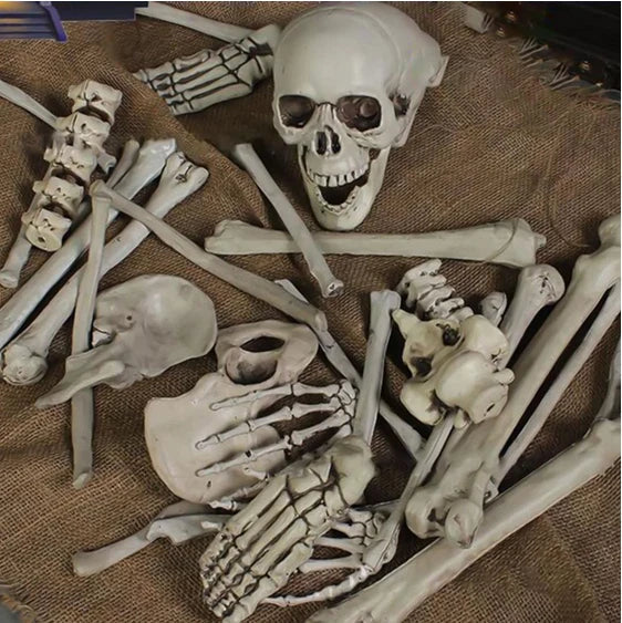 28PCS Bag of Bones Human Skull Skeleton Halloween Scary Pirate Party Decoration CorbyCart