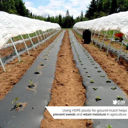 2m x 5m 500g Clear Polythene Plastic Green house Sheeting Heavy Duty Building Corbycart