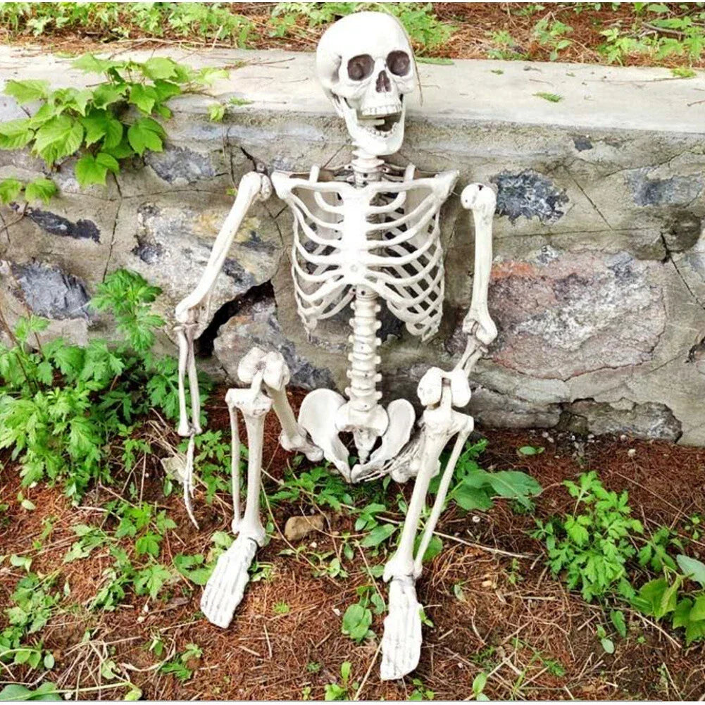170cm Full Life Size Halloween Hanging Human Skeleton Bones Posable Skull Party CorbyCart