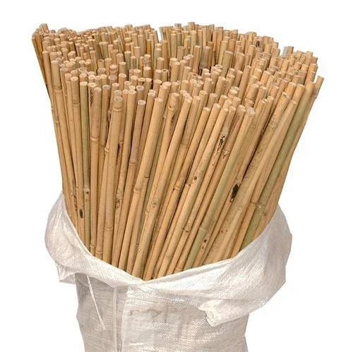 50 x 4ft Heavy Duty Bamboo Garden Canes Strong Thick Quality Plant Support Corbycart