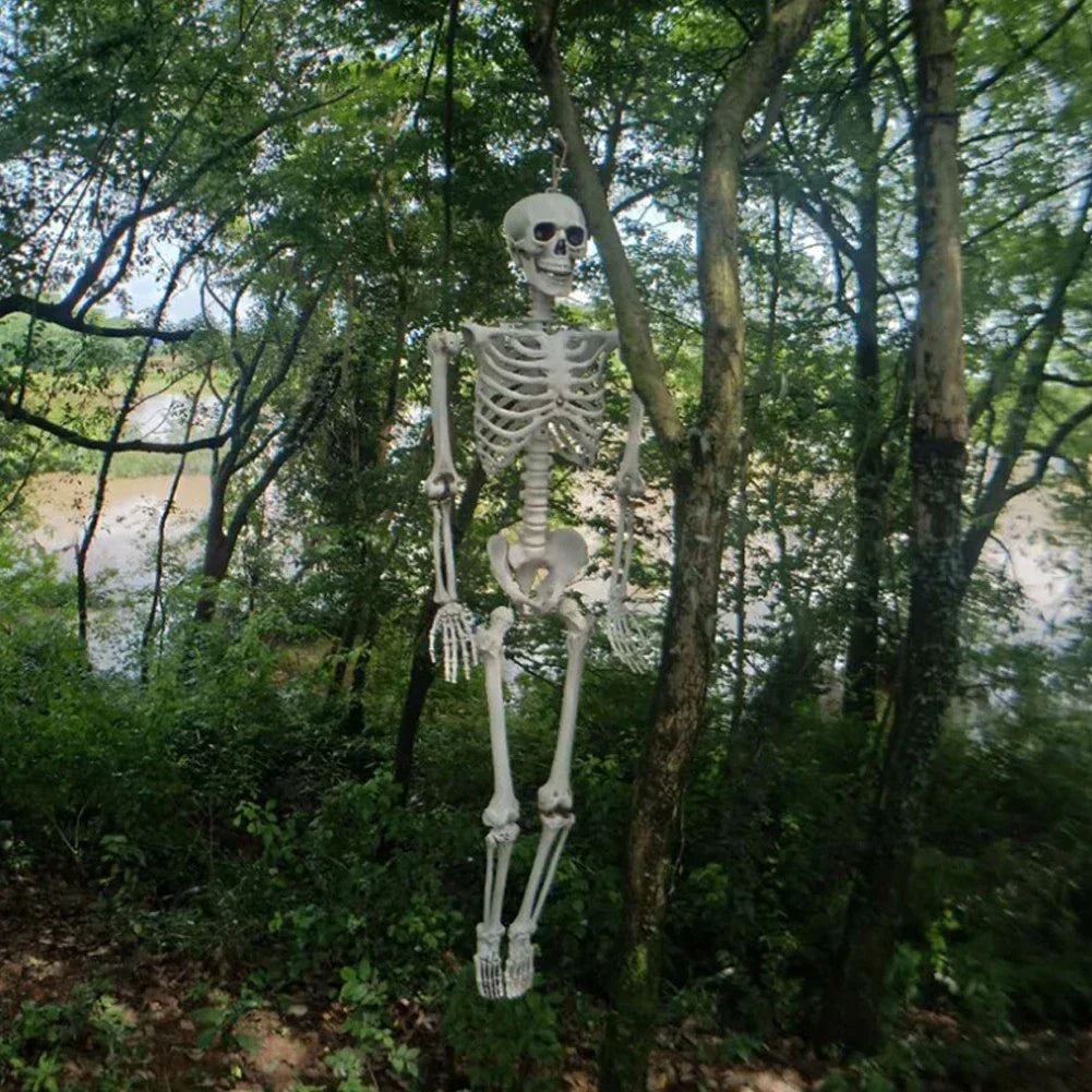 170cm Full Life Size Halloween Hanging Human Skeleton Bones Posable Skull Party CorbyCart