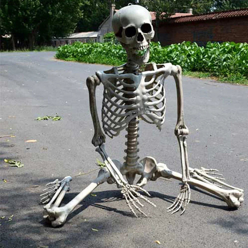 170cm Full Life Size Halloween Hanging Human Skeleton Bones Posable Skull Party CorbyCart