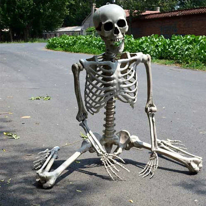 170cm Full Life Size Halloween Hanging Human Skeleton Bones Posable Skull Party CorbyCart