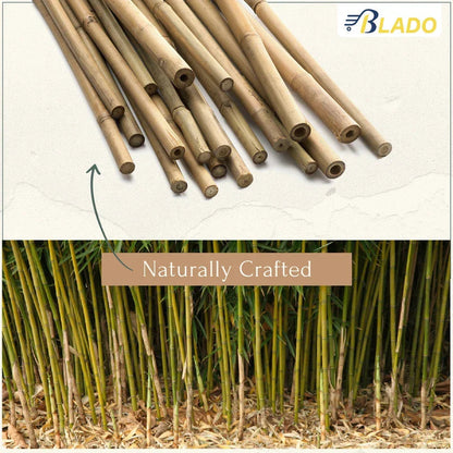 50 x 4ft Heavy Duty Bamboo Garden Canes Strong Thick Quality Plant Support Corbycart