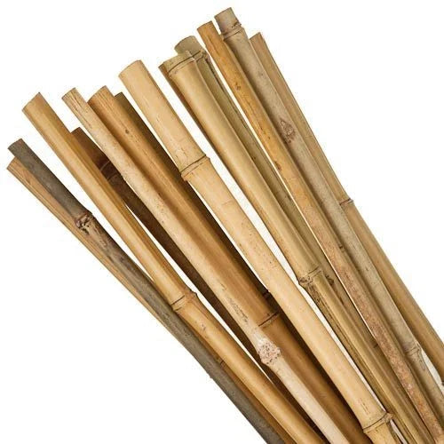 50 x 4ft Heavy Duty Bamboo Garden Canes Strong Thick Quality Plant Support Corbycart