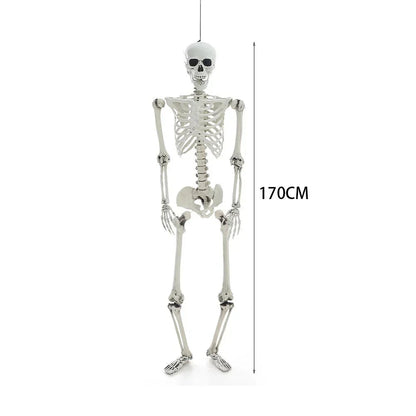 170cm Full Life Size Halloween Hanging Human Skeleton Bones Posable Skull Party CorbyCart