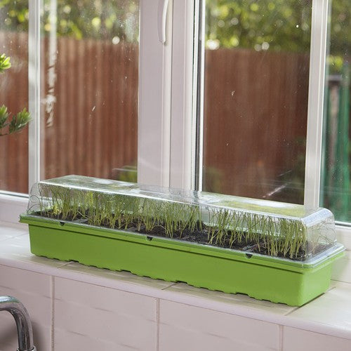 Windowsill Propagator Kit, Indoor Greenhouse, Set of 3, For 90 Plants, Reusable Corbycart