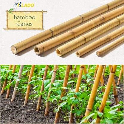 50 x 4ft Heavy Duty Bamboo Garden Canes Strong Thick Quality Plant Support Corbycart