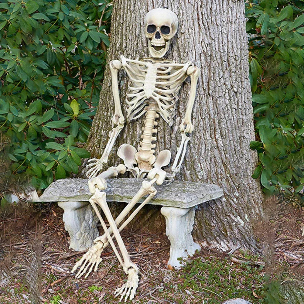 170cm Full Life Size Halloween Hanging Human Skeleton Bones Posable Skull Party CorbyCart