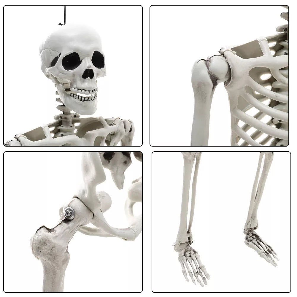 170cm Full Life Size Halloween Hanging Human Skeleton Bones Posable Skull Party CorbyCart
