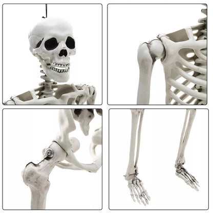 170cm Full Life Size Halloween Hanging Human Skeleton Bones Posable Skull Party CorbyCart