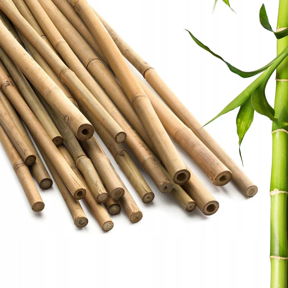 50 x 4ft Heavy Duty Bamboo Garden Canes Strong Thick Quality Plant Support Corbycart