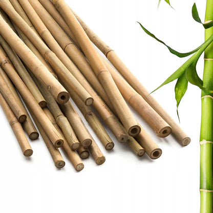 50 x 4ft Heavy Duty Bamboo Garden Canes Strong Thick Quality Plant Support Corbycart