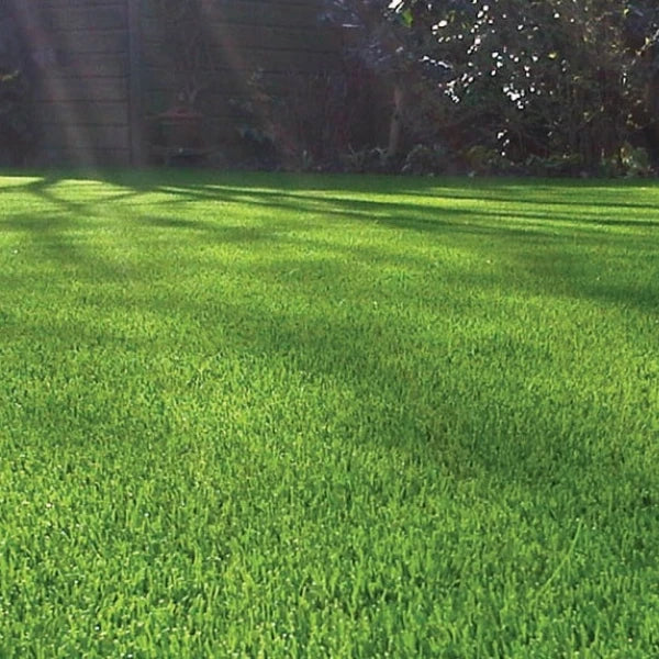 40mm Budget Artificial Grass Astro Cheap Lawn Fake Turf Corbycart