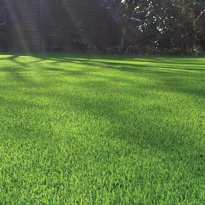 40mm Budget Artificial Grass Astro Cheap Lawn Fake Turf Corbycart