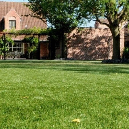 40mm Budget Artificial Grass Astro Cheap Lawn Fake Turf Corbycart